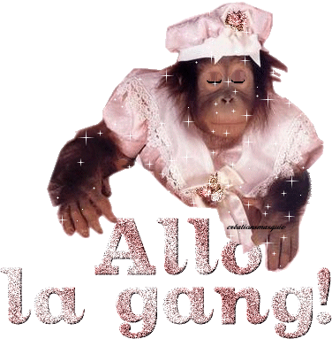 Qu'est-ce que la Sounnah?